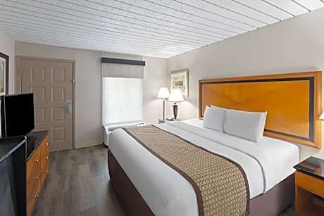 King Room - Non-Smoking
