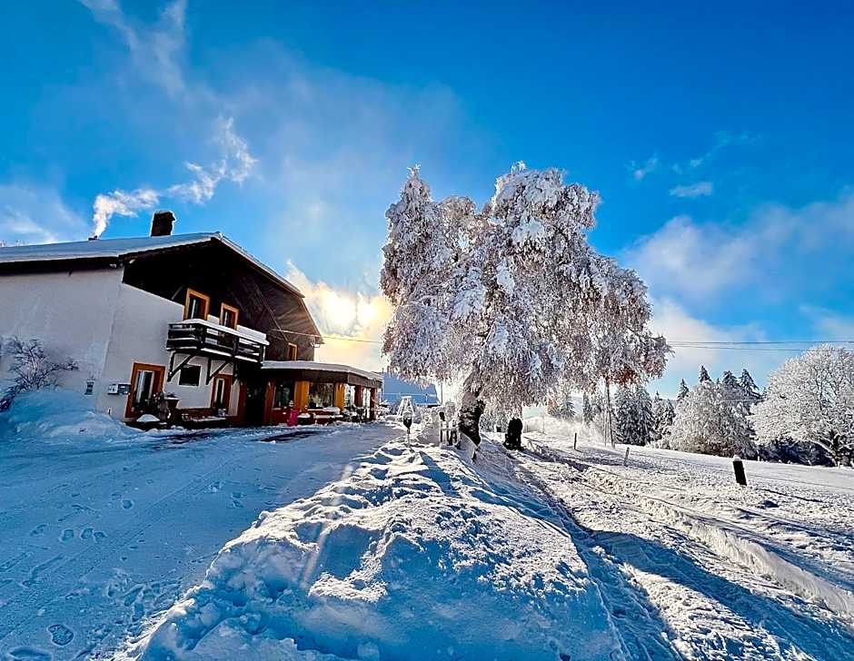 Hôtel Restaurant Les Cernets Swiss-Lodge SSH