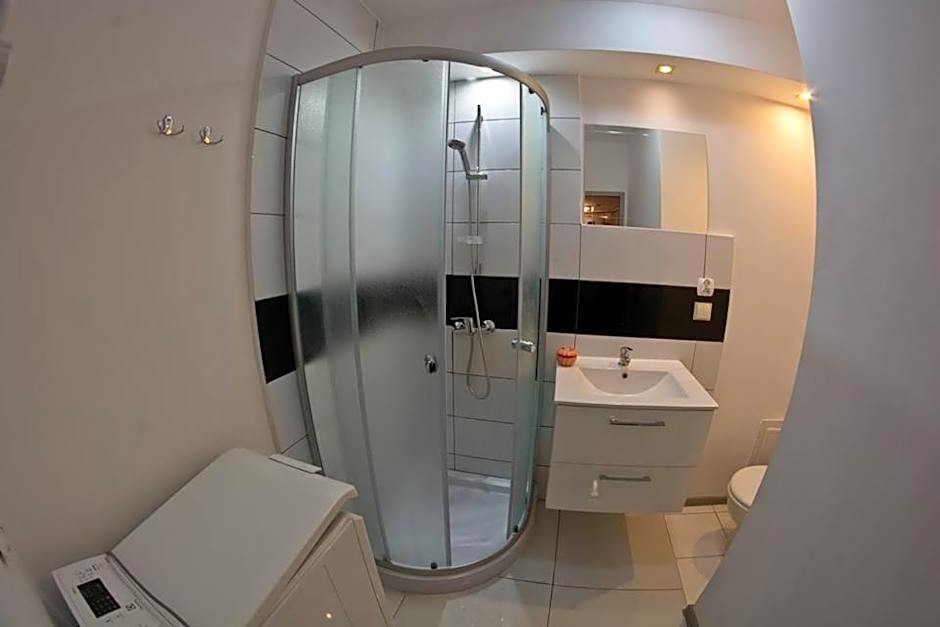 Pokój jednoosobowy do wynajęcia w mieszkaniu