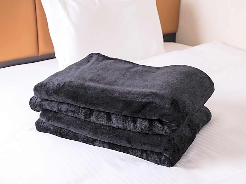 Apa Villa Hotel Nagoya-Marunouchiekimae