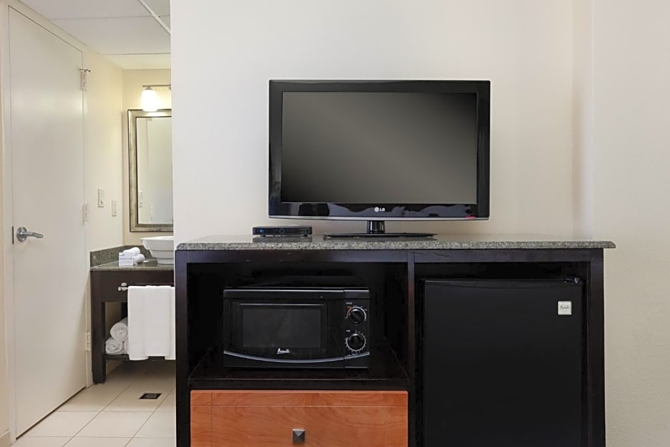 Holiday Inn Express & Suites - Atlanta Downtown by IHG