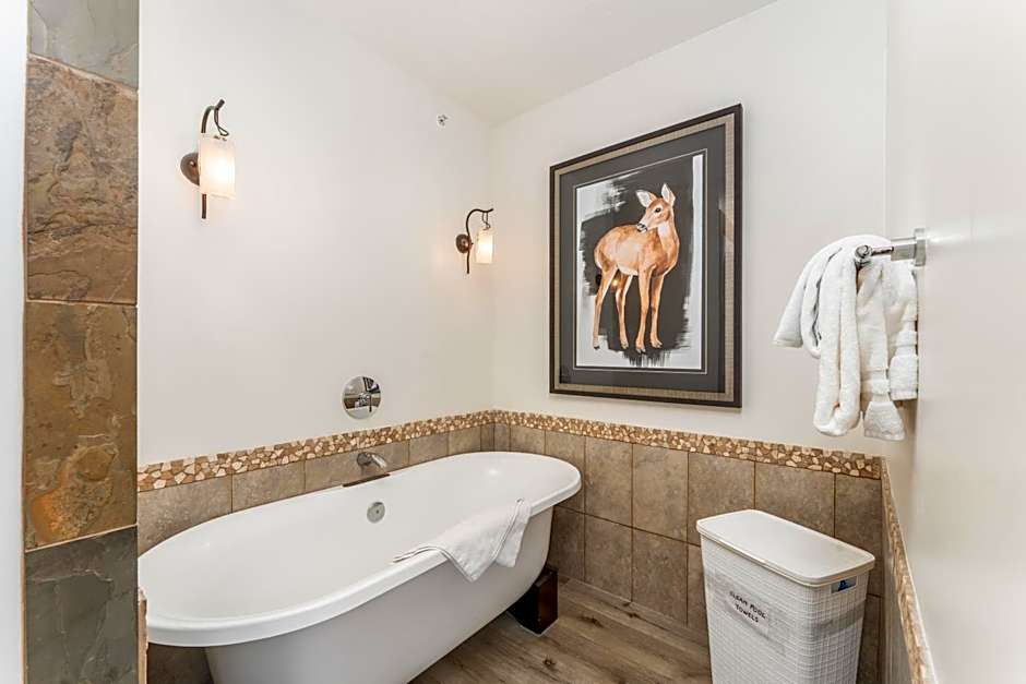 Spectacular Penthouse With Amazing Views, Indoor Pool and Hot tub