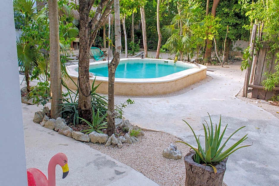 Buena onda residence