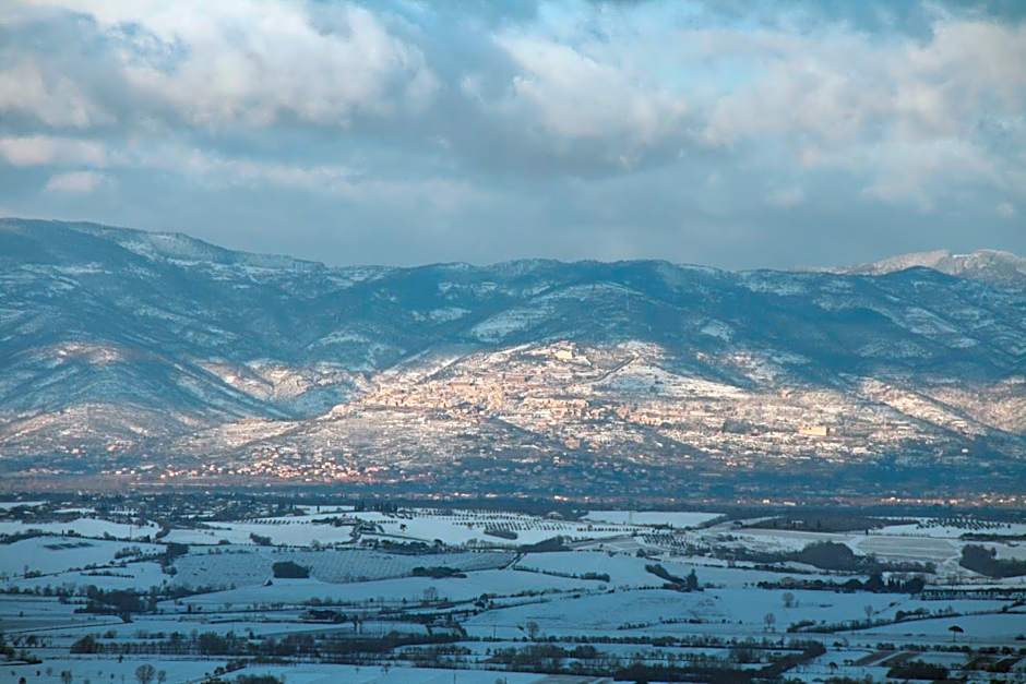 Meublé il Riccio