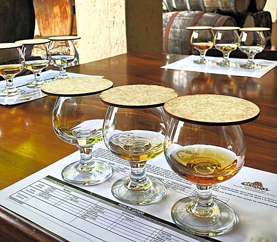 Matices Hotel de Barricas