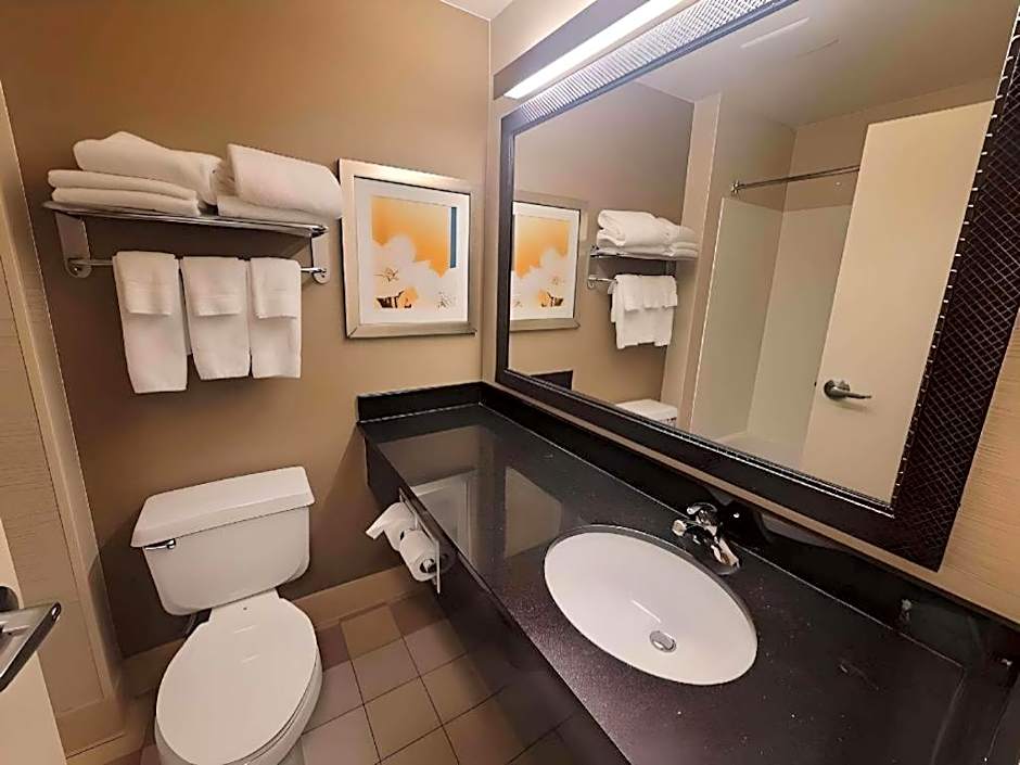 Dubuque Inn and Suites
