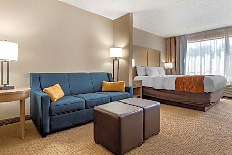 King Suite with Sofa Bed - Non-Smoking