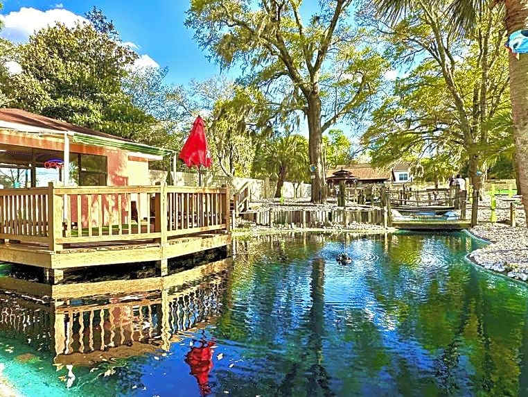 ON ISLAND Ocean View Beachy Studio in Campy 1970s Converted Motel