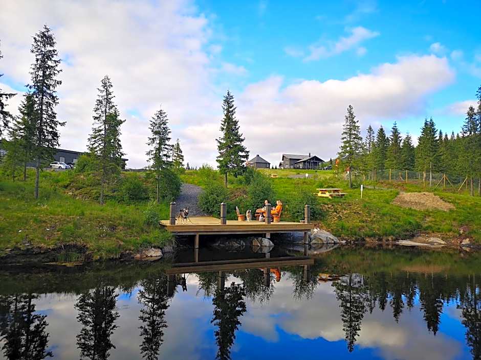 Blåfjell hundesenter fjellhotell