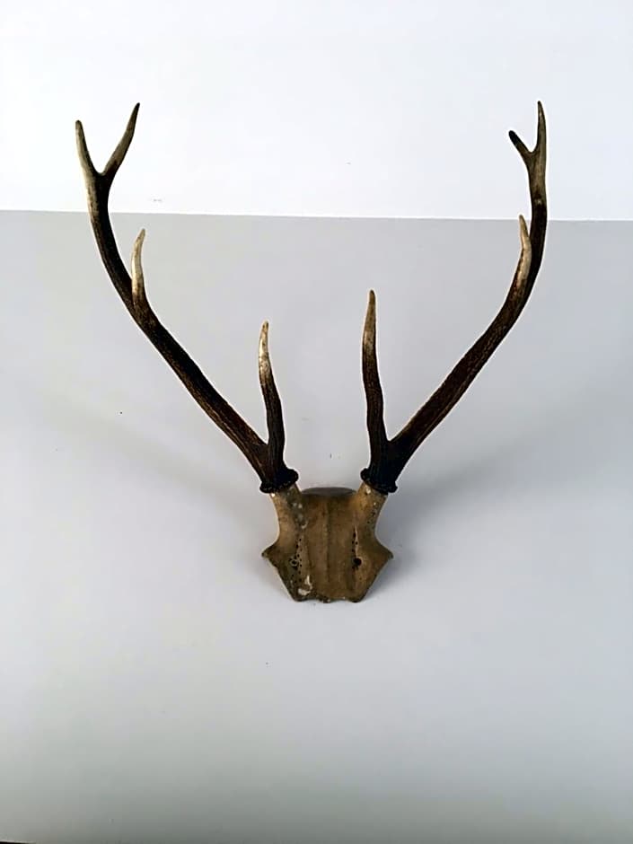 Bridleway Bed & Breakfast