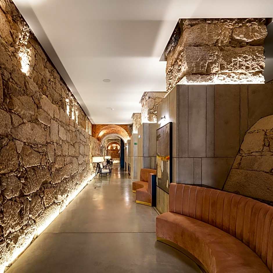 The Lince Santa Clara