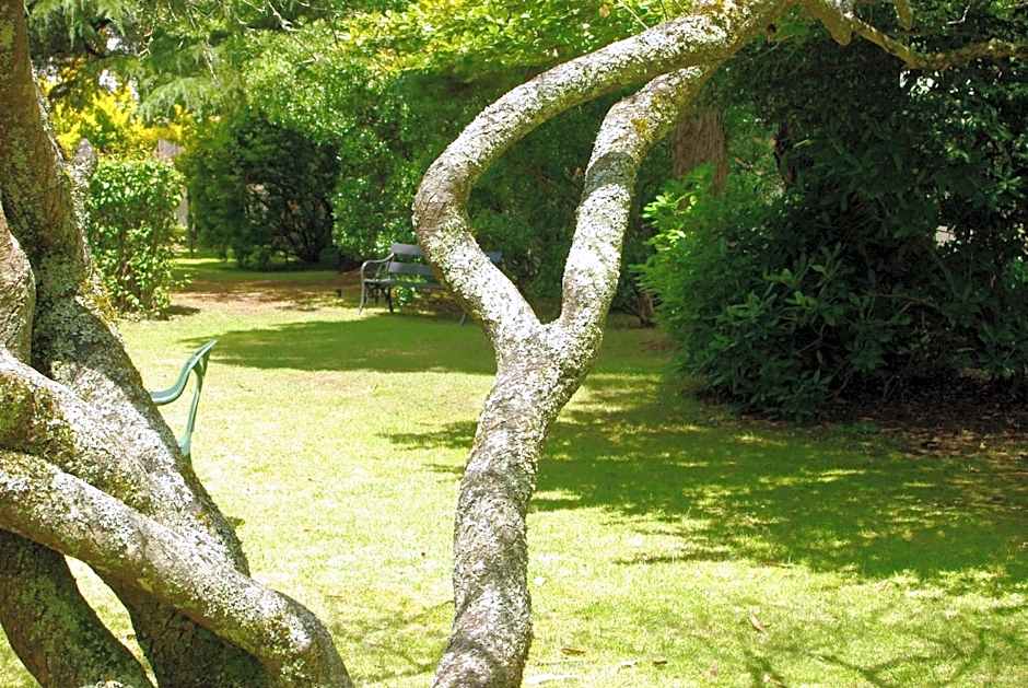 Blackheath Motor Inn