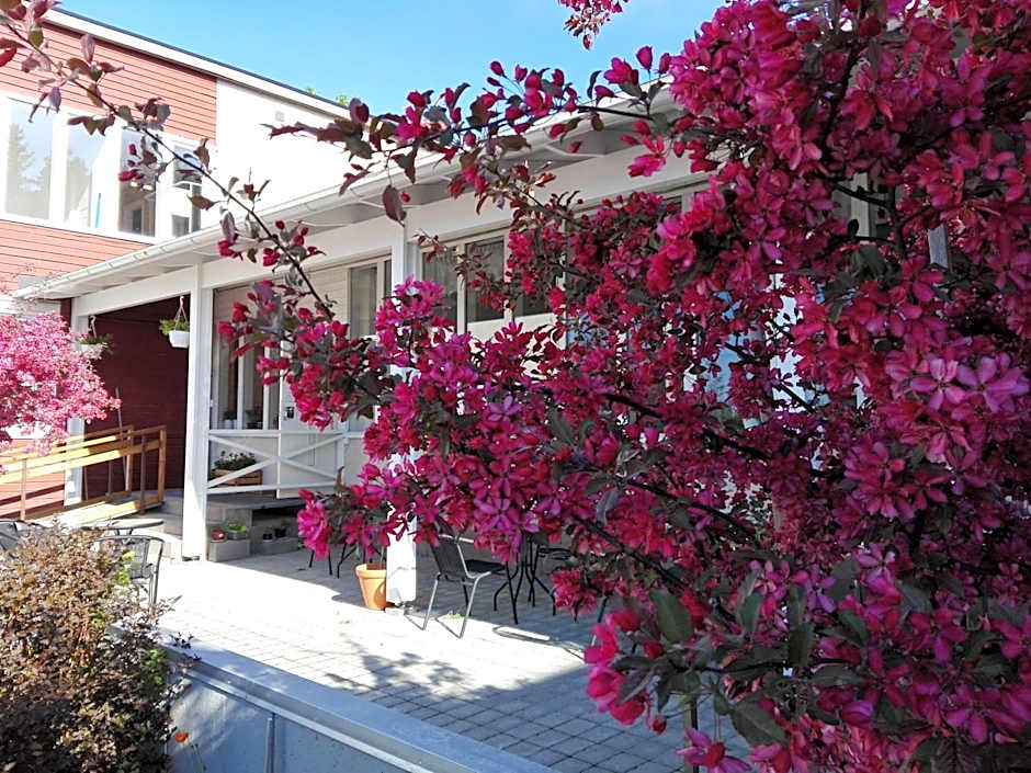 Kristinebergs Bed & Breakfast