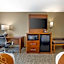 Comfort Inn South - Springfield