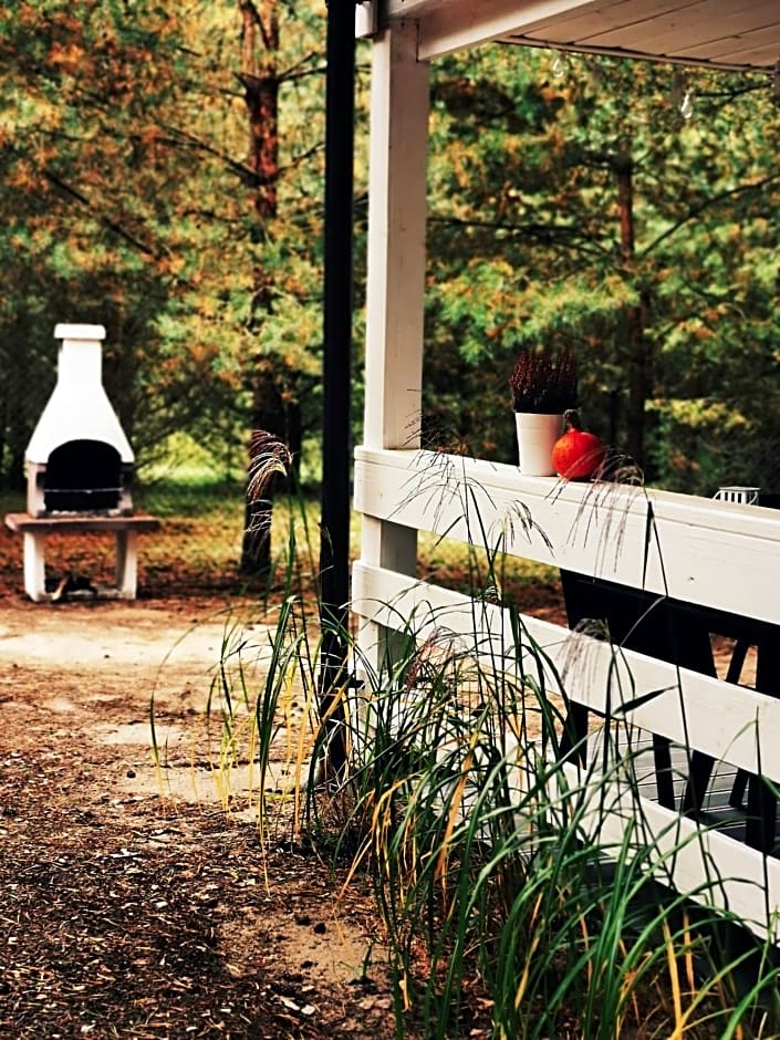 Domki Między Drzewami