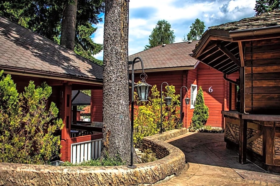 Alpin Borovets, Алпин Боровец