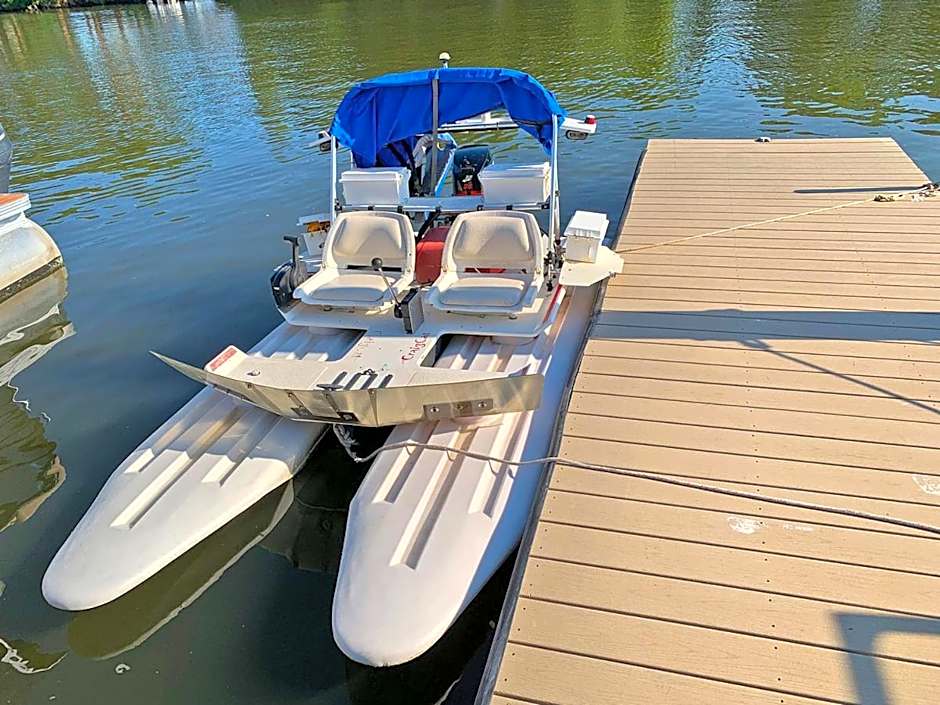 Dolphins Vacation Rental