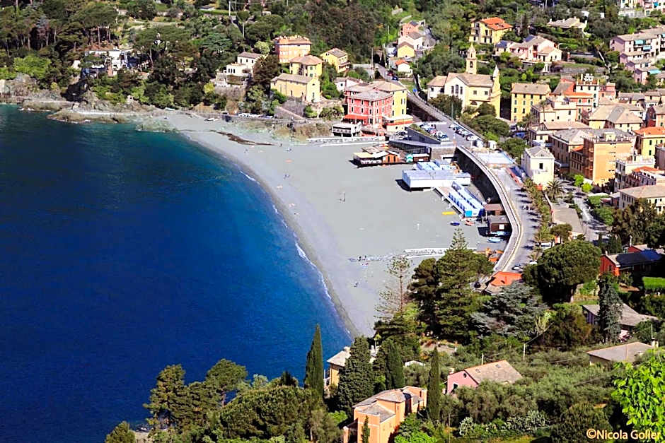 Hotel Delle Rose