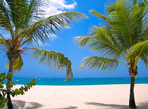 Viva Heavens by Wyndham, A Trademark All Inclusive