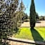 Oasi Del Verde