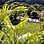 Pousada Sitio da Serra em Paty do Alferes