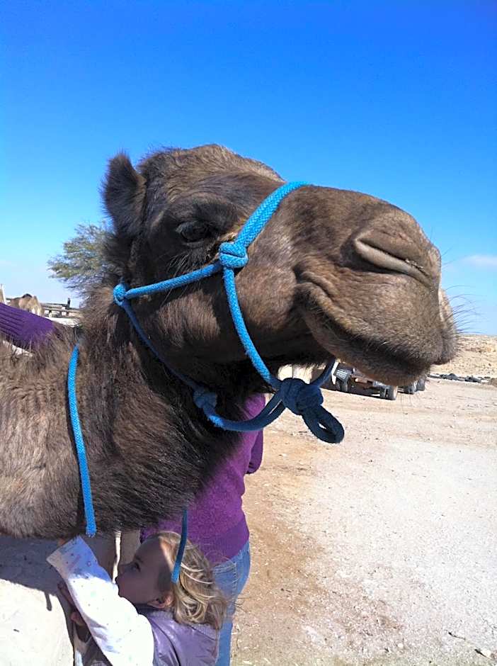 Tobiana Desert Lodging Negev