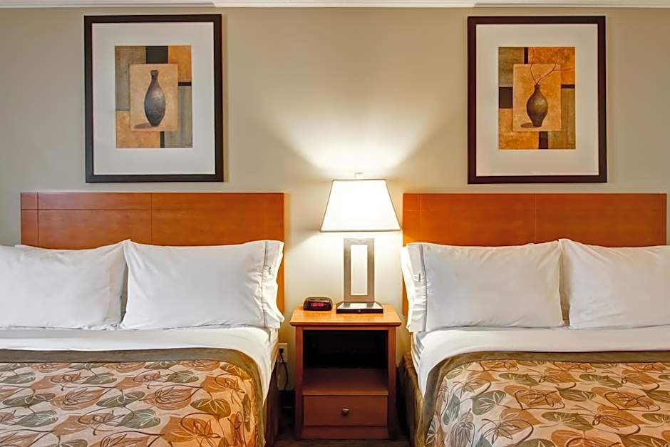 Canalta Jurassic - Drumheller