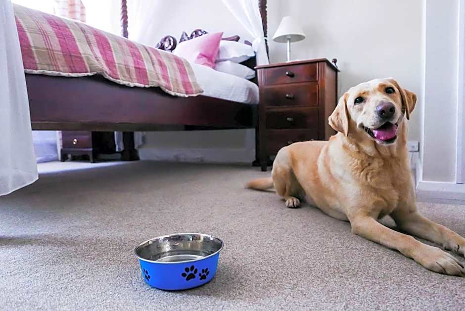 The White Hart Hotel