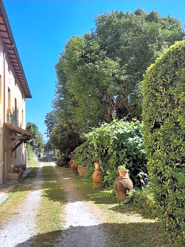 Antica Fattoria La Verdina