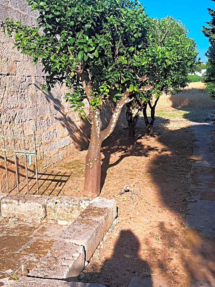 La Fragna