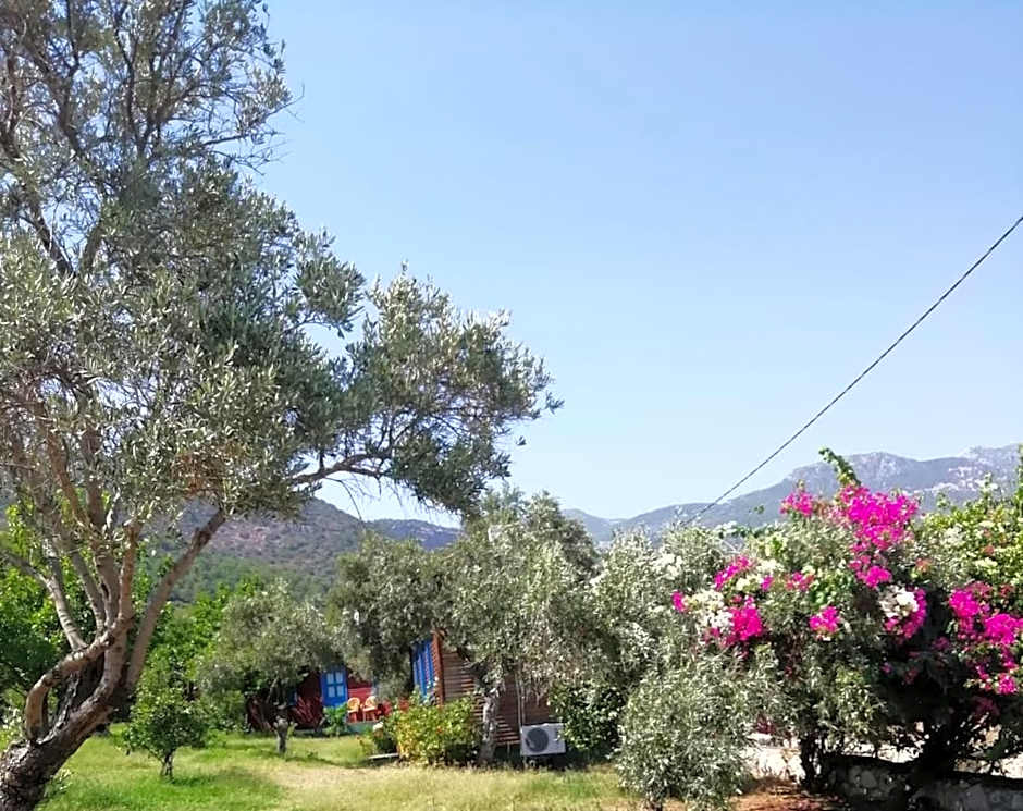 Bahar Bahce Datca