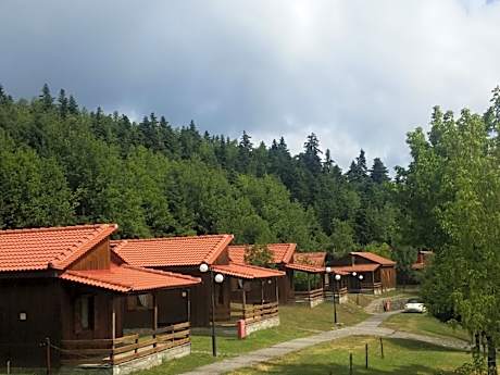 Livadaki Village - Δασικό Χωριό Λιβαδάκι