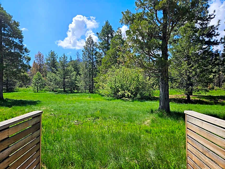 The Black Forest Lodge