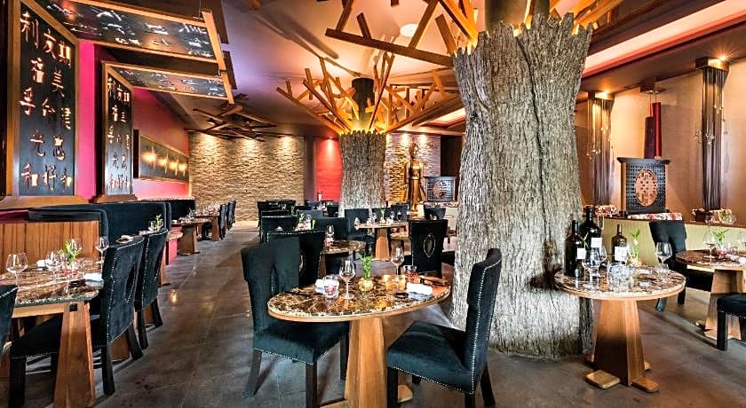 El Dorado Seaside Palms - Catamaran, Cenote & More Inclusive- Adults Only