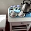 Kingsway Bed & Breakfast