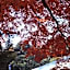 Kyukamura Setouchi-Toyo