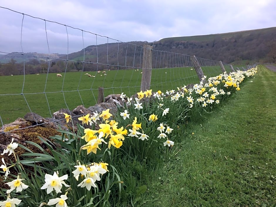 Ellerton Lodge Bed and Breakfast Swaledale