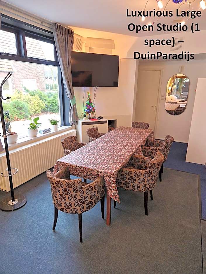 DuinVliet - Zandvoort Dunes & Free Parking