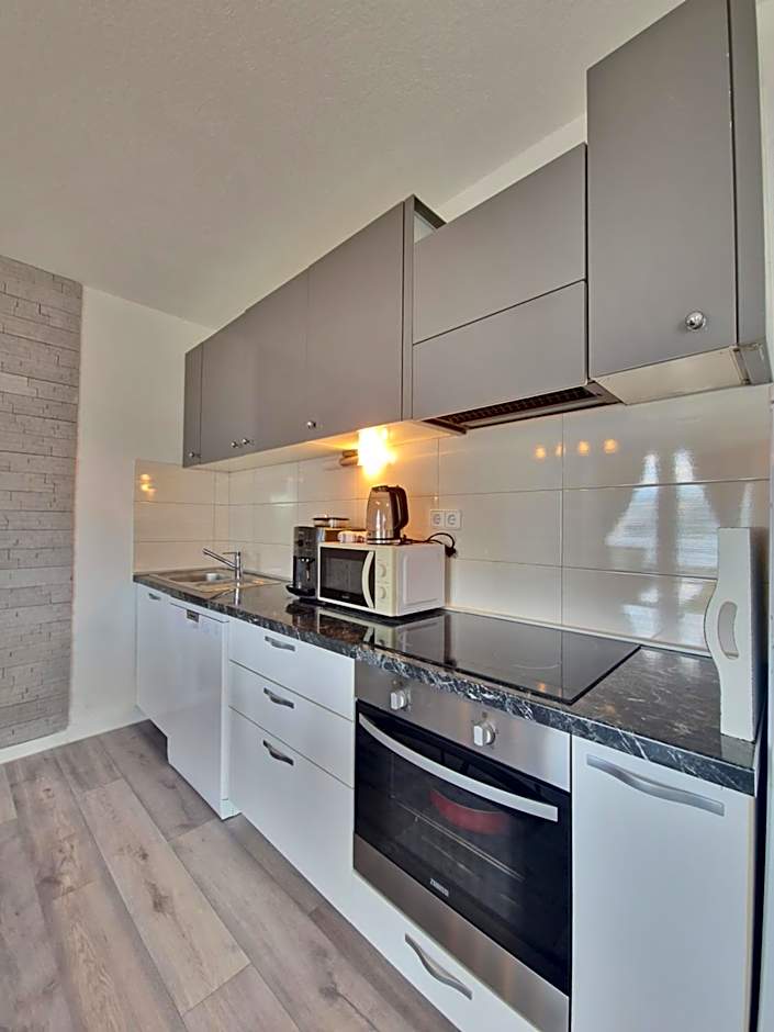 Luxury Apartments Silva with sea view