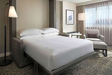 1 Bedroom Family Suite, 1 King or 1 Queen Murphy