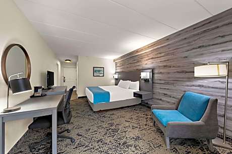 King Room with Roll-In Shower - Mobility Access/Non-Smoking