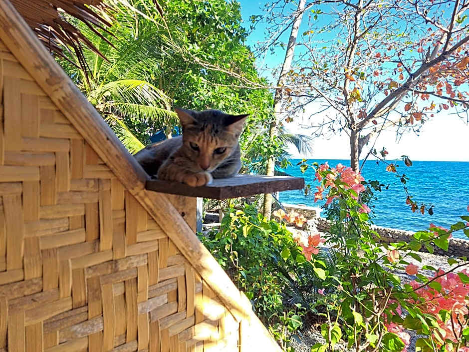 Paseo Del Mar Seaside Inn