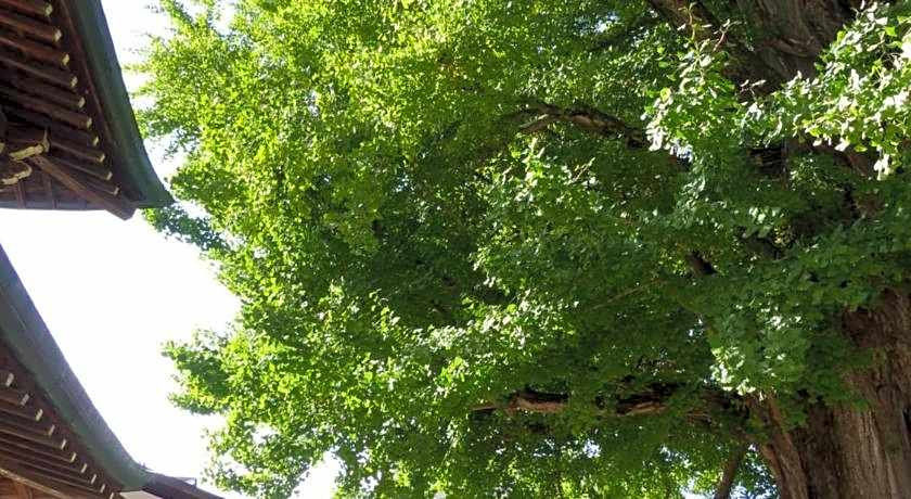 Minshuku Kuwataniya Ryokan