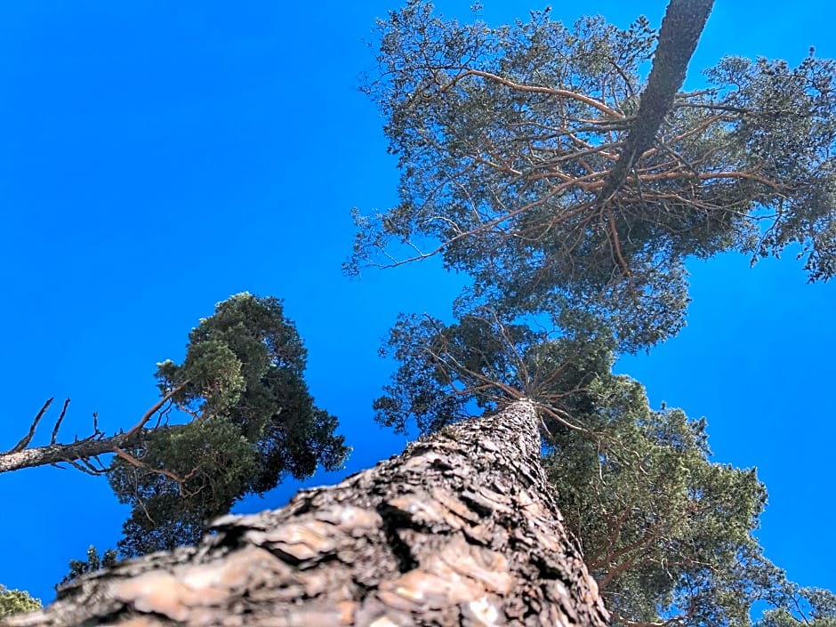 Pràcatinat Hotel & Restaurant