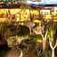 Posada Real Los Cabos