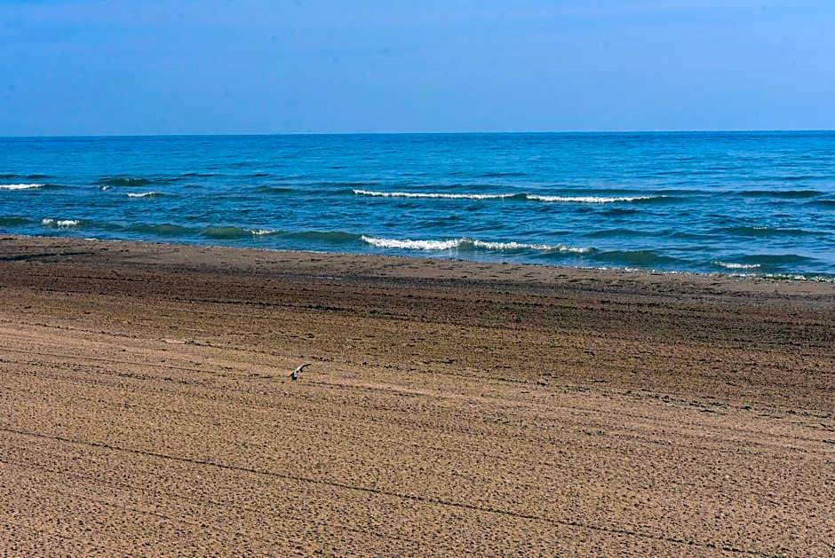 Sunrise Beach Oscoda @ Surfside