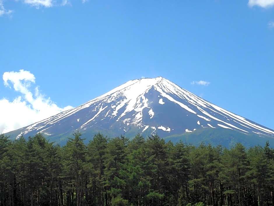 Evergreen-Fuji