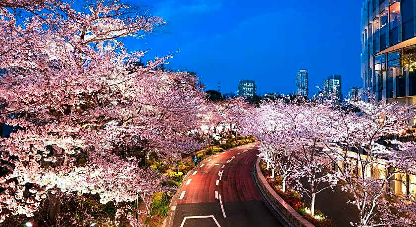 MIMARU Tokyo Akasaka