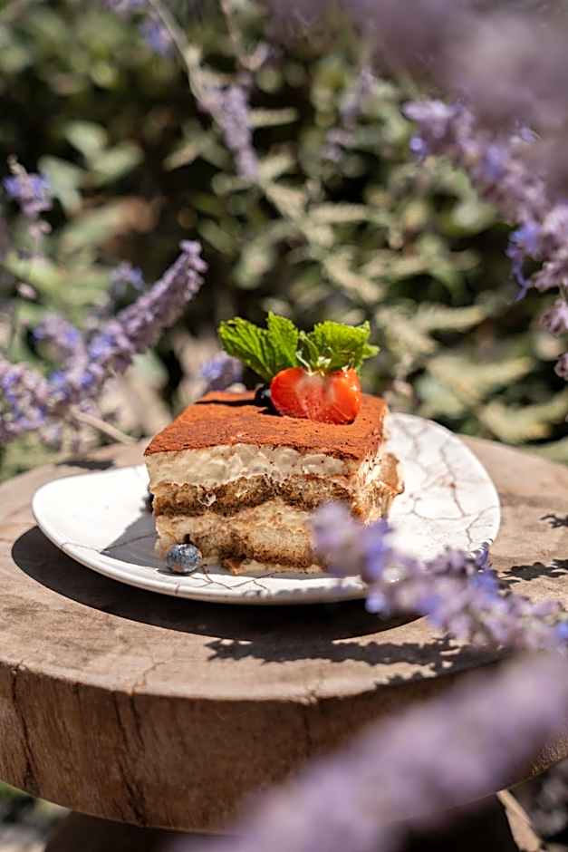 Holiday Inn Nice By IHG