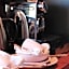 Oakdene Vineyards Guesthouse